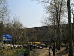 -白水寺森林公园