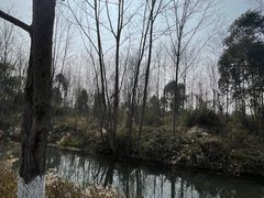 -桤木河湿地公园