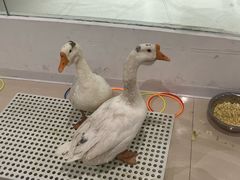 -维多利广场(通辽店)