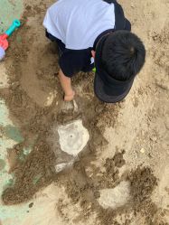 -酷酷兔少儿拓展天地