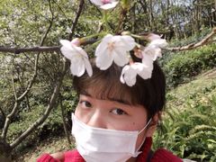 -南山植物园