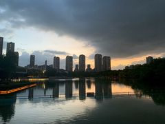 -青枫公园