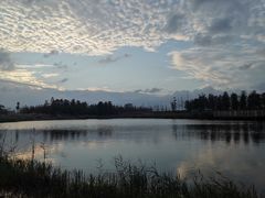 -春花秋色城市公园
