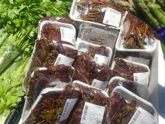 -物美超市(通州梨园店)