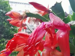 -公园前(地铁站)
