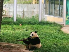 -西安秦岭野生动物园