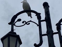 -大连海昌东方水城