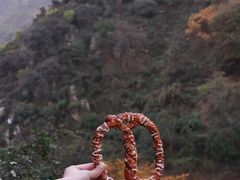 -秦岭风景区