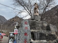 -大岭沟猕猴桃谷风景区