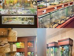 -帕帕拉兹宠物(亚洲旗舰店)