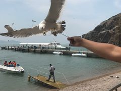 -海驴岛(荣成市)