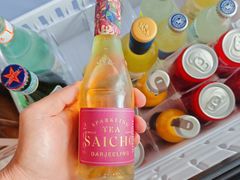 -新加坡文华东方酒店