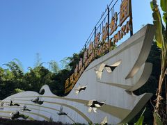 -西双版纳原始森林公园