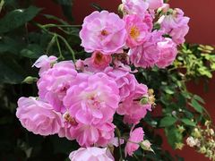 -北京石刻艺术博物馆