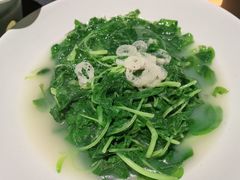 米汤捞苋菜-肆月河豚·淮扬菜·湘菜(华天店)