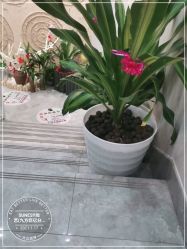 -尚艺造型.剪烫染.接发