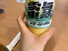 -雾与山茶(大禹城店)