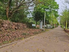 -白鹭湾湿地公园