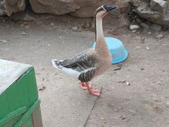 -北京市海淀外国语实验学校