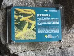 -杭州长乔极地海洋公园