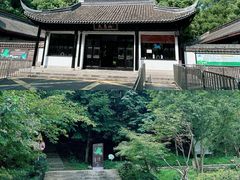 -上海佘山国家森林公园天马山园