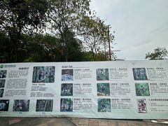 -大雁山风景区