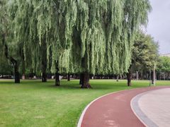 -哈尔滨文化公园