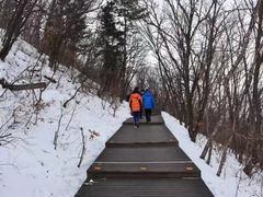 -帽儿山国家森林公园