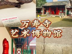 -北京艺术博物馆(万寿寺)