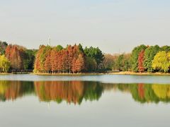 -长广溪湿地公园