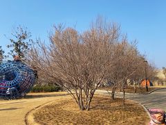 -西吴河科普公园