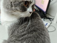 -宠颐生宠物医院外科·内科·皮肤科·影像科(石龙店)
