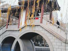 -团结湖公园