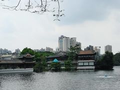 -荔湾湖公园