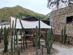 -MOJ coffee(瓯海泽雅水碓坑店)