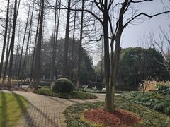 -中共上海市委党校 上海行政学院