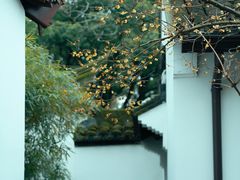 -上海醉白池公园