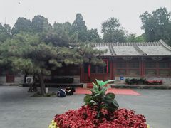 -八大处公园