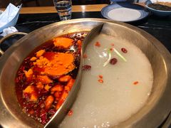-杨家火锅(国美店)