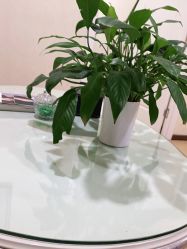 点击看大图 -重庆军科整形美容医院