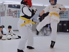 -极真空手道修远道场