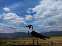 -野鸭湖国家湿地公园