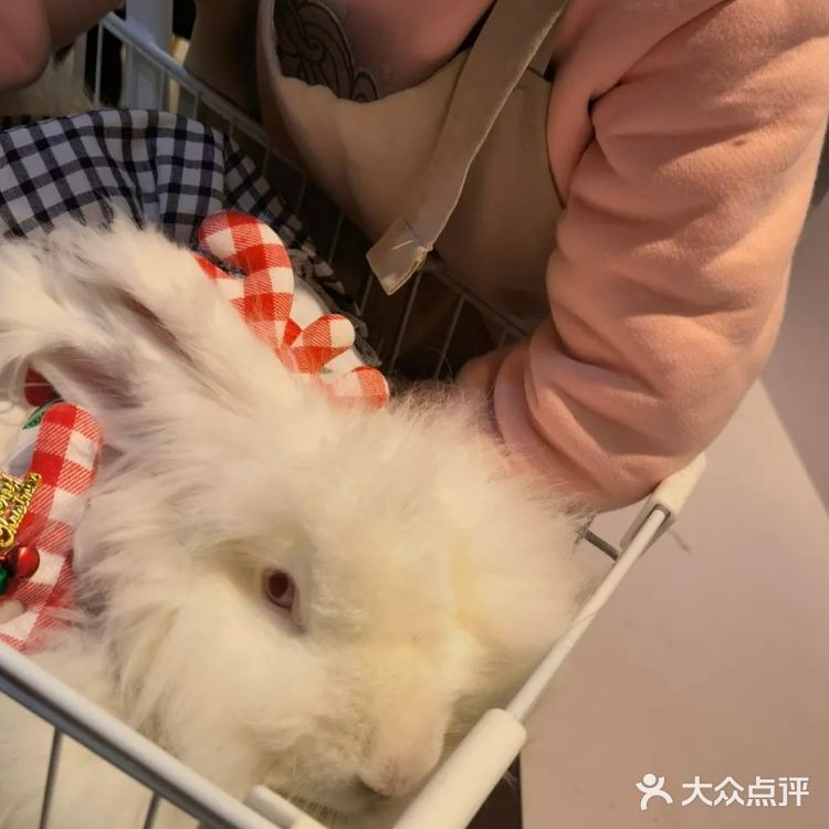 撸兔体验门票60分钟68元很划算