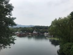 -西院1号(龙井店)