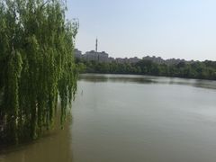 -南汇桃花村