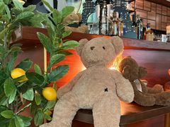 -咖法森林·咖啡  酒吧(天河店)