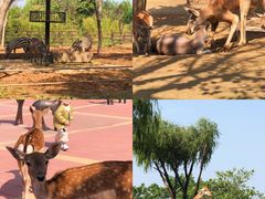 -济南野生动物世界