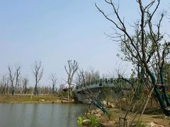 -上海长兴岛郊野公园