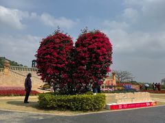 -东莞植物园