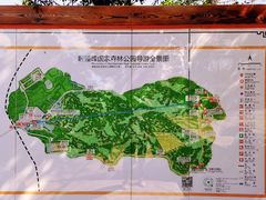 -磬锤峰森林公园